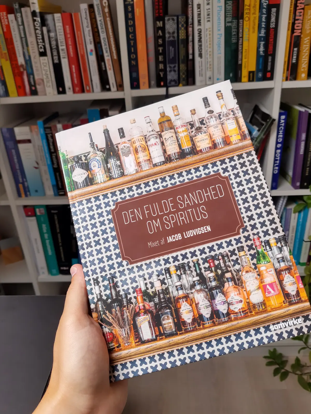 Bogen Den fulde sandhed om spiritus