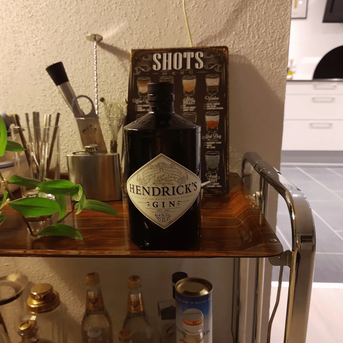 Hendrick's gin